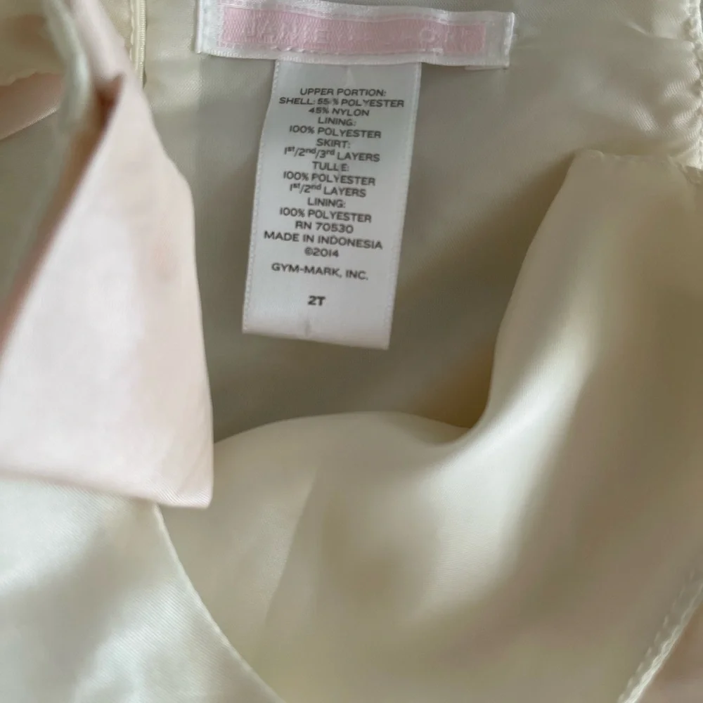Janie and Jack vintage bow/tulle dress - 2